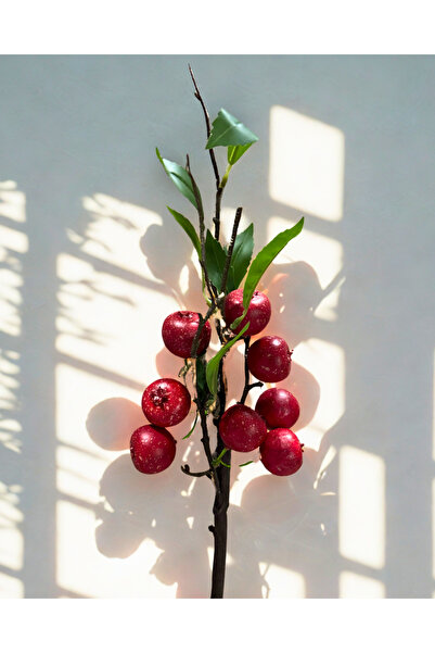 Home Yapay Kırmızı Fruit 40 cm (1 Adet) 8 meyveli
