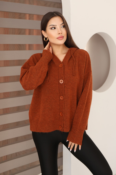 ALCHON Hooded Long Sleeve Lace-Up Four Button Soft Textured Stylish Standard Length Winter Basic Knitwear Cardigan