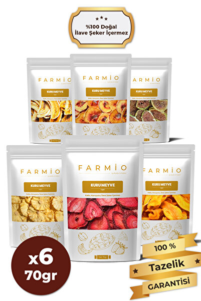 FARMİO Şekersiz Kurutulmuş Karışık Kuru Meyve – 6 x 70gr (420gr) – Doğal ve K...