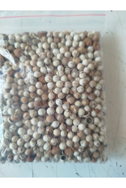 OrganikAVM Dardağan Çekirdeği 100 gram