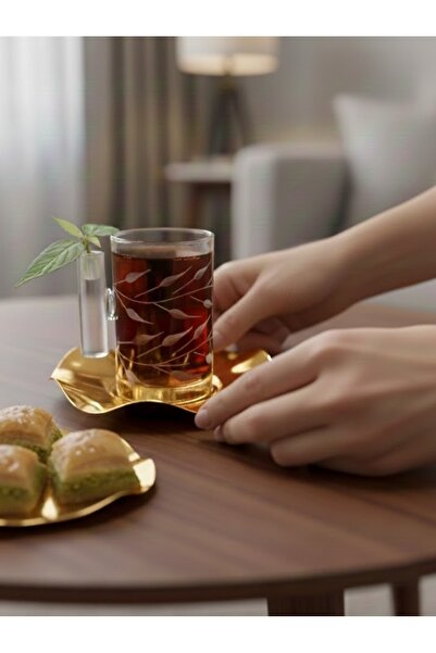 DECOSTYLE 18 Piece Modern Glass Tea Set with Ivy Decorated Steel Plate |   Premium Presentation Set