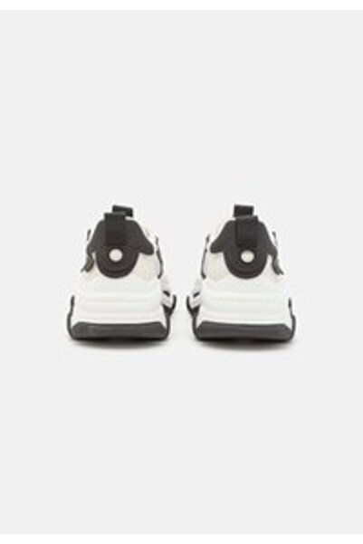 Steve Madden POSSESSION - Low sneakers