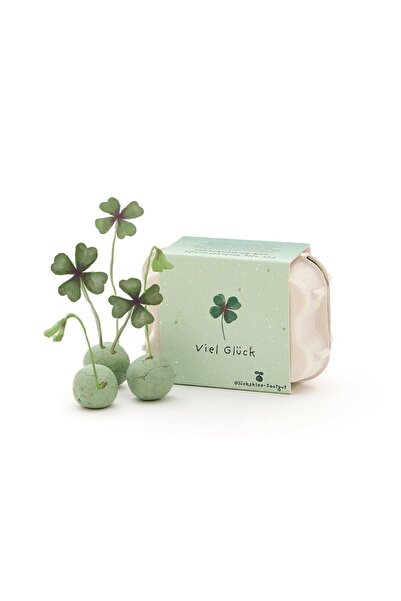 Gardener 6 oua de noroc trifoi cu patru foi cadou seminte de