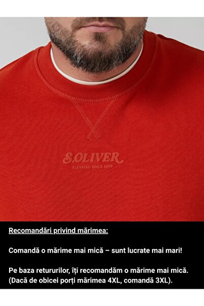 s.Oliver Big Sizes Men's big size blouse with neckline, logo, Regular Fit, Brick red