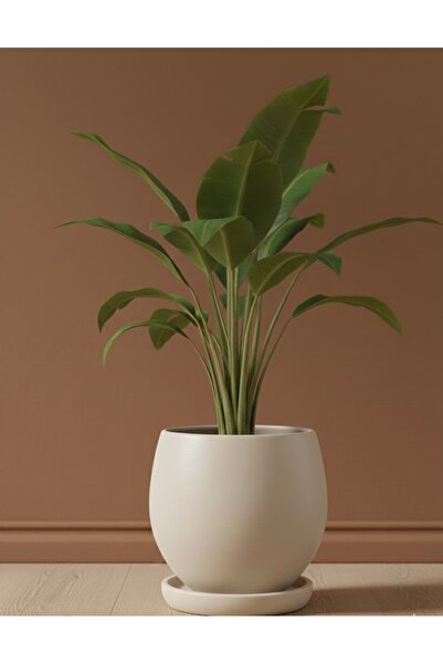 Harmony Büyük Boy Beton Saksı