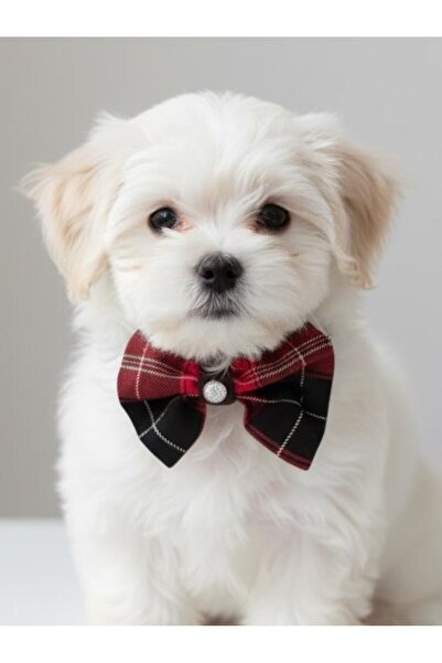 Kemique Aristocratic Plaid Silver Dog Bow Tie Collar Christmas