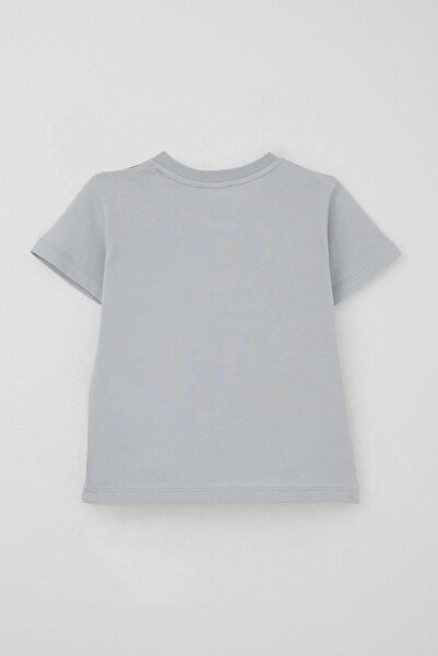 Breeze Boy's Shorts Set Strong Dinosaurs Printed 3-8 Years, Gray