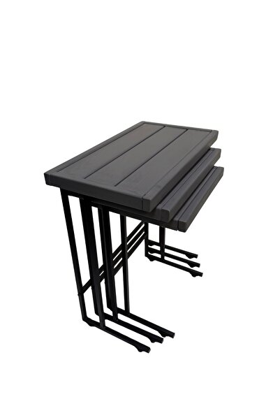 Hier Doğal Ahşap Tekerlekli Metal Ayaklı Zigon Sehpa Takımı Demonte Rustik Mo...