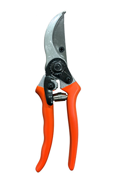 BACHQ Chinese manual tree shears