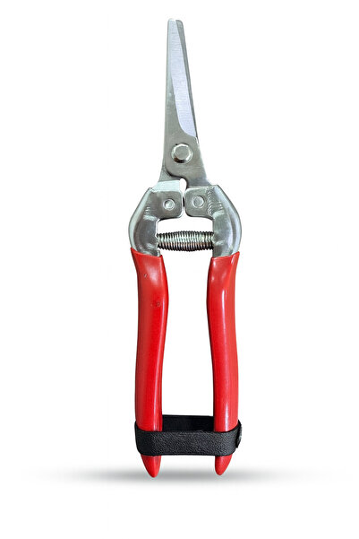 SAMORAI Samurai S1602 Fruit Pruning Shears (Taiwanese)
