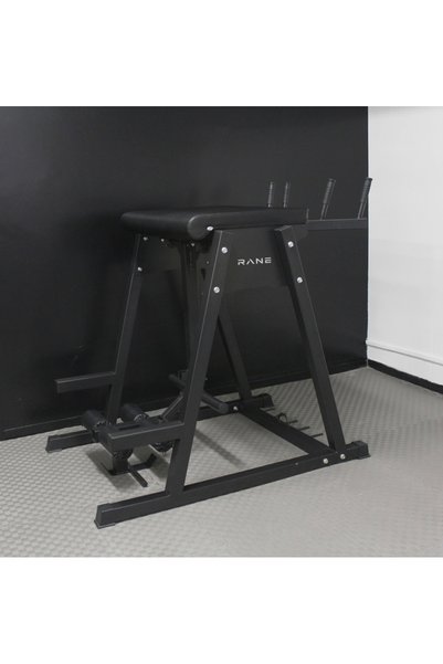 Rane Fitness Equipment Rane Reverse Hyper Model 2
