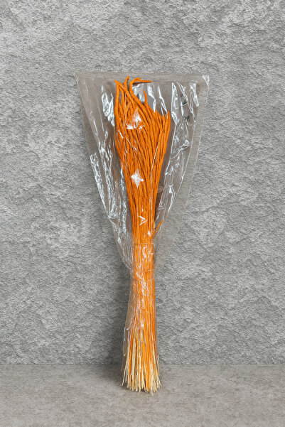 DOĞAL KURU ÇİÇEK VİBEX زهرة طبيعية جافة