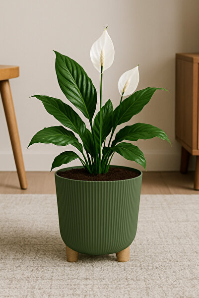 okacih Modern Stick Line Saksı Akıllı Altlıklı 25x25 Cm 9 Litre