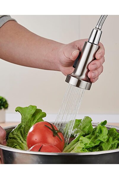 Generic Made in Germany Kitchen Sink Faucet with Pull-Down Spray, Spring Single-Handle, Stainless Steel