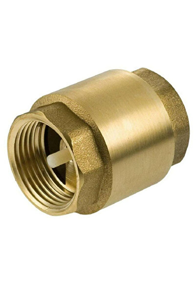 Altınyapı Hobi Market Brass Spring Check Valve 1''