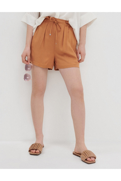 House Brand Shorts, Brown
