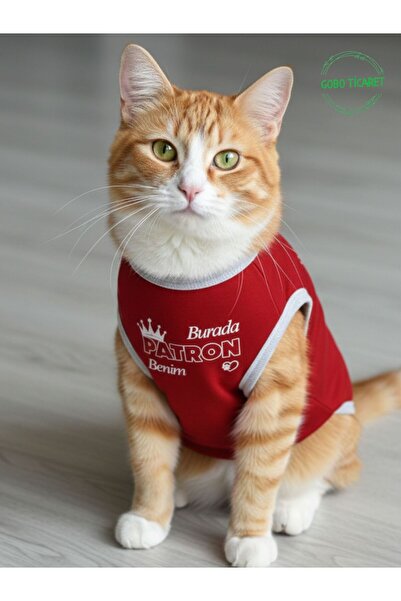 Gobo Here I Am, the Boss! Red Cat and Dog Outfit with Text, Xsmall/Xs/Size 0