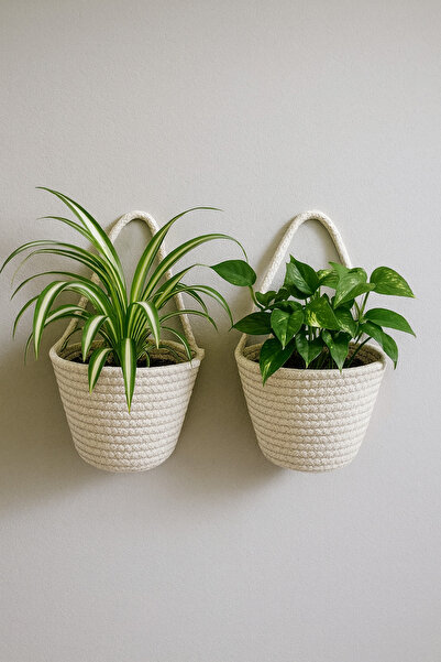 ÖRGÜM Coș 2 bucăți mini coș decorativ organizator de flori 10x12 cm PLANTELE ȘI APELATELE NU INCLUSI