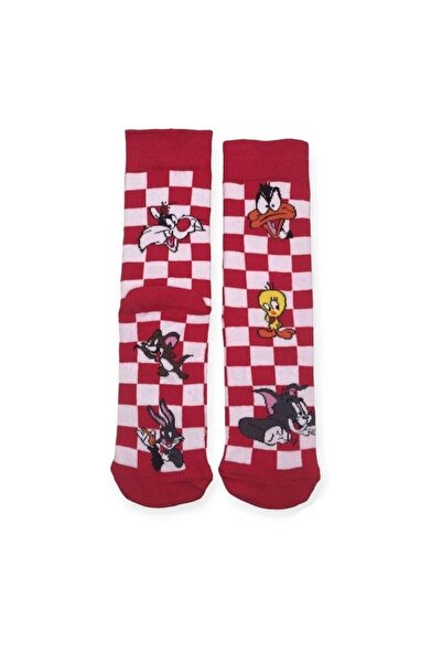 CNS Concept Daffy Tom Tweety Checkerboard Socket