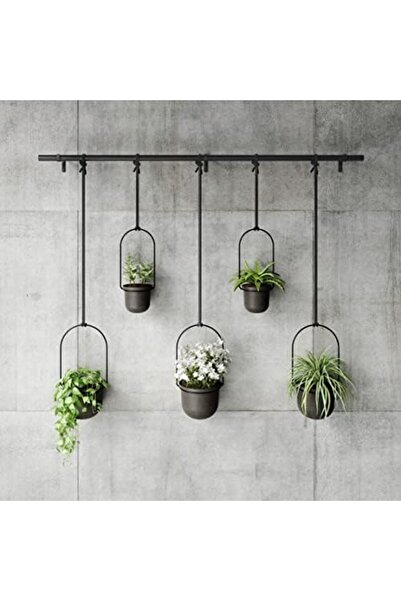 STOREMAX fee Triflora vazo, asma çiçek saksısı, duvar vazosu, duvar ve tavan ...