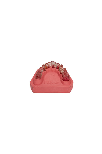 Seçkin Dental FANTOM ÇENE ENDODONTİK (ŞEFFAF DİŞLİ) / FUJİENDO / FE12JAW