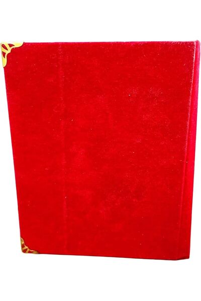 Generic Premium Gold Award Plaque in Red Velvet Box — Custom Engraved Trophy Plate