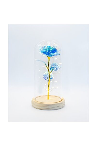 MyRavadino ™ Trandafir criogenic conservat în cupolă de sticlă cu lumini LED, 22 cm, albastru