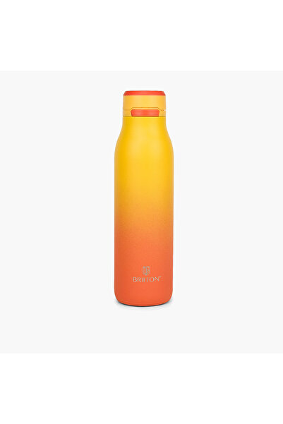 briiton Ombre Stainless Steel Insulated Water Bottle - 750 ml