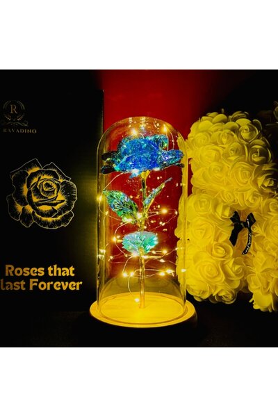 MyRavadino ™ Trandafir conservat în cupolă de sticlă cu lumini LED, 22 cm, Al...