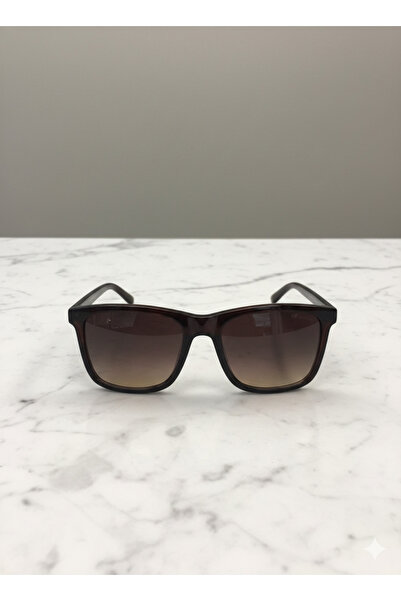 Swing 195 62 54 Unisex Sunglasses