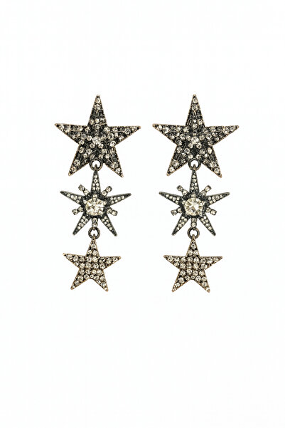 Venus Design Çelik Taşlı Yıldız Küpe