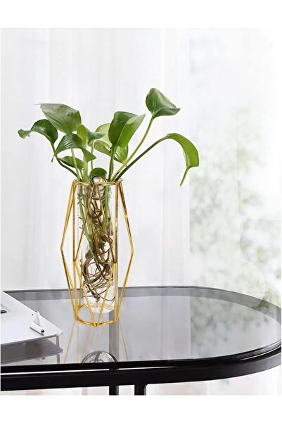 AZONEE Gold Geometric Test Tube Vase Set, 2 pcs (7.3 in) - Clear Glass with Metal Stand