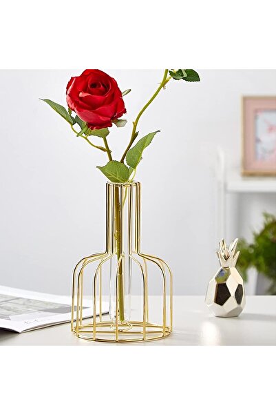 HALAMODO Flower Vase with Iron Art Frame, Metal Geometric Clear Glass (Gold, 1PC)