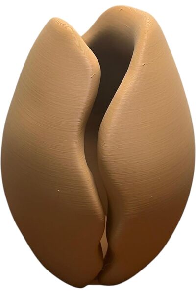 Generic Modern Coffee Bean Shaped Vase, Decorative Flower Planter, Brown