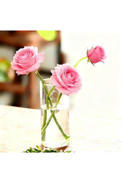 NYGANMELLOZ 3-Pack Clear Glass Cylinder Vases (750ml, 8 x 15 cm)