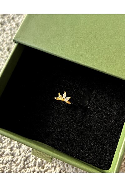 Miltonia 925s Tragus Gümüş Küpe