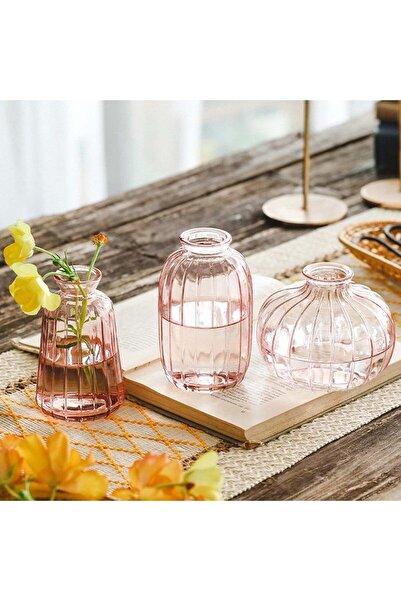 Generic Glass Flower Vases Set of 3, Pink Mini Decorative Bottles, Modern Table Centrepiece