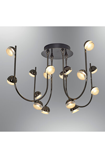 Özcan Aydınlatma 2843-16-24 Aster 16'lı Plafonyer PLATİN Renk