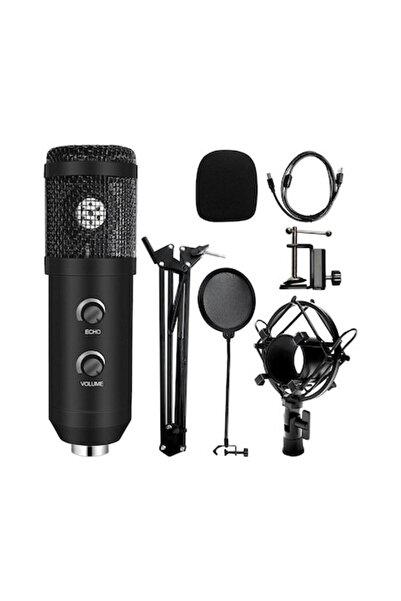 USB Microfon profesional E20-3, conexiune, volum reglabil și butoane Echo, St...