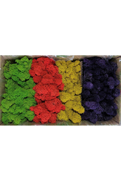 FantezieCuLicheni Mușchi stabilizat, Polar, 500gr, 4 culori fantezie