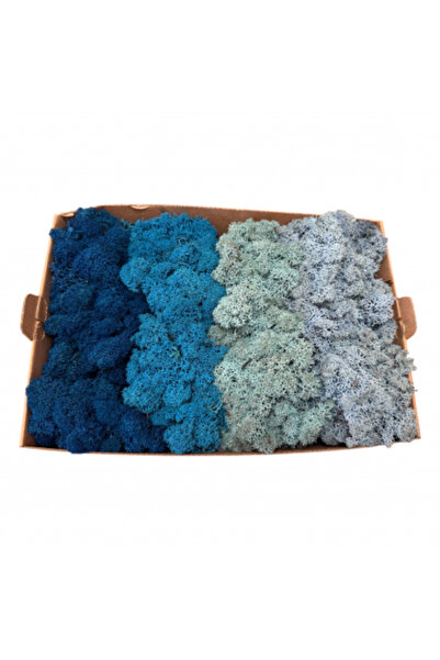 FantezieCuLicheni Mușchi stabilizat, Polar, 500gr, 4 culori albastru