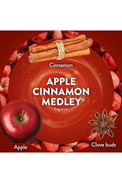 Air Wick Plug in Scented Oil Refill, 10 ct, Apple Cinnamon Medley