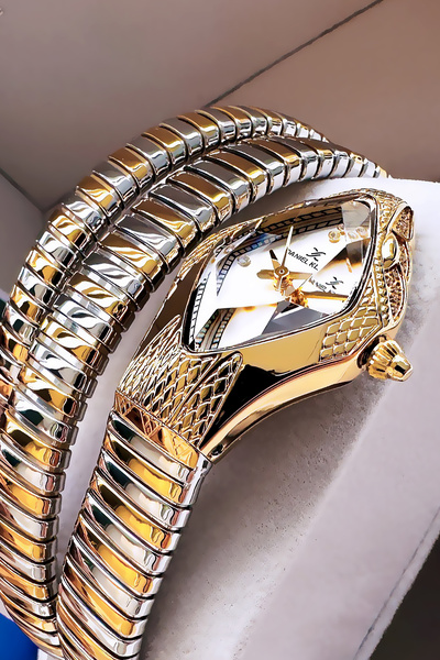 Daniel Klein Snake Watch Model - Women's Wristwatch, Waterproof Gold Silver Steel Band - Bracelet Gift Dkby2053C4