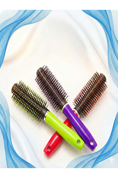 eneci PERIE DE PĂR COLORATĂ CU PIEPTĂ, CU SÂRMĂ DURĂ, MÂNER DE PLASTIC, PERIE...