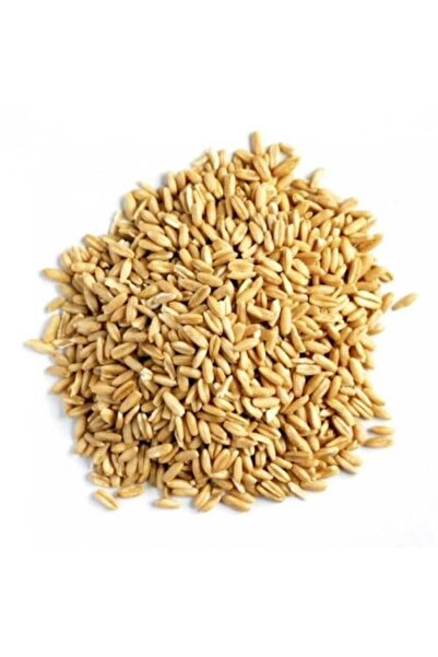 Nature Spirit روح الطبيعة - شوفان حب