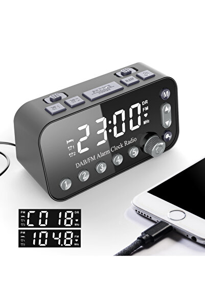 OEM Portable digital radio clock with LCD, FM stereo, dual alarm, high-quality plastic
