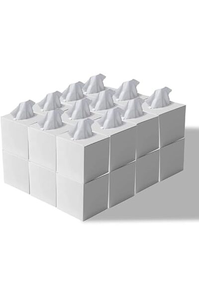 Xess Facial Tissue - 2-Ply X 12 Cube Boxes of 100 Sheets Each - Premium Soft Feel and Absorbent Tissues f