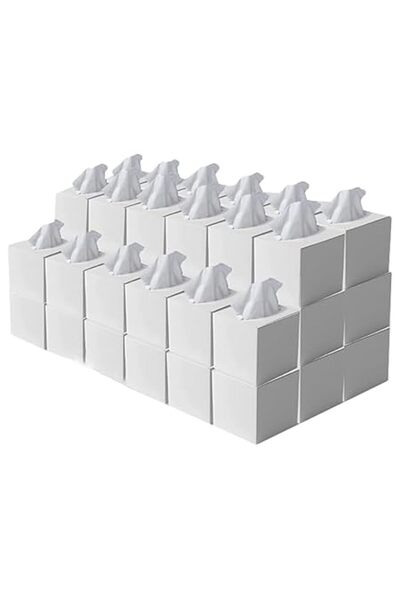 Xess Facial Tissue - 2-Ply X 24 Cube Boxes of 100 Sheets Each - Premium Soft Feel and Absorbent Tissues f