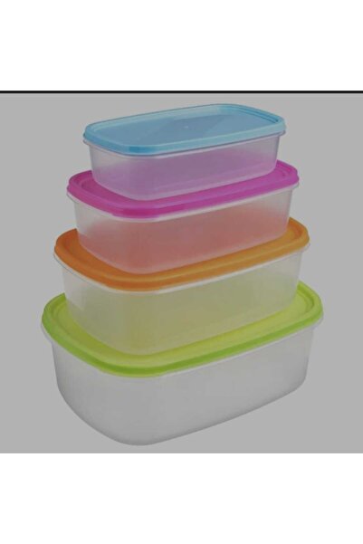 OEM Transparent Food Containers (Various Sizes) - 4pcs