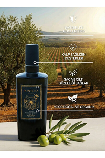 Pontlea Premium Erken Hasat Soğuk Sıkım Naturel Sızma Zeytinyağı - 500 ml
